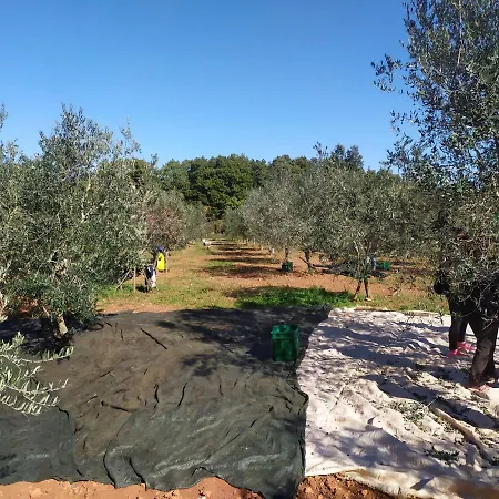 Apartament Kuca Za Odmor - Vito Valtura