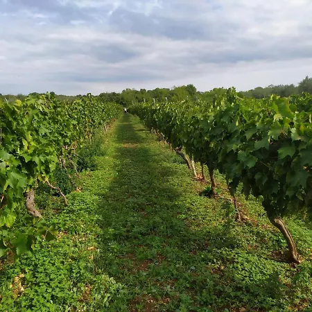 Apartament Kuca Za Odmor - Vito